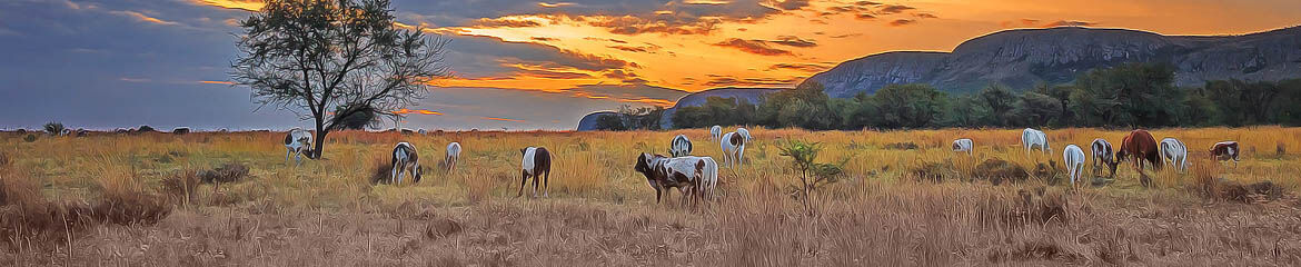 Magaliesburg & Surrounding Accommodation footer banner